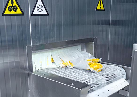 Quick Freezer in Food Processing Industry