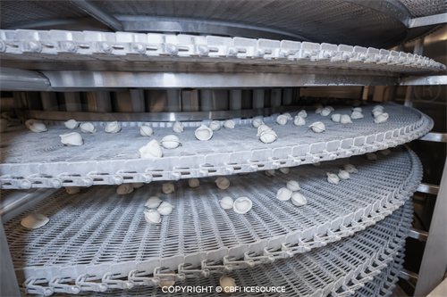 Studi Kasus: Jalur Produksi Pangsit Beku Cepat 1 Ton per Jam di Orsk, Rusia