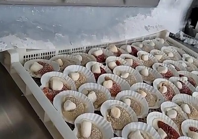 Prinsip Pendinginan dan Keuntungan Freezer Terowongan
