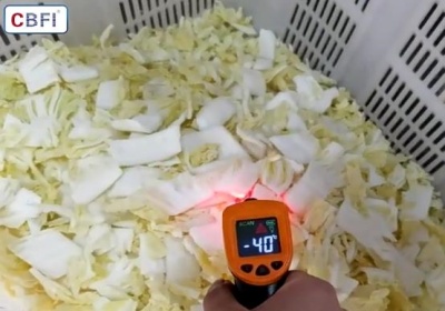 Freezer Cepat Sayuran: Mengapa Tidak Bisa Mencapai -30°C?